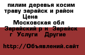 пилим деревья косим траву зарайск и район › Цена ­ 1 000 - Московская обл., Зарайский р-н, Зарайск г. Услуги » Другие   